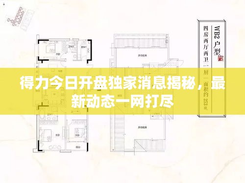 得力今日开盘独家消息揭秘，最新动态一网打尽