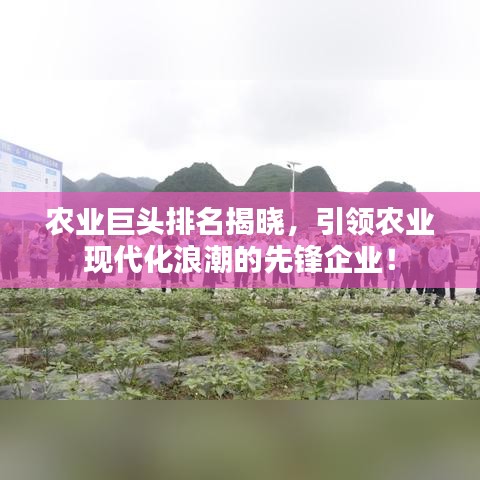 农业巨头排名揭晓，引领农业现代化浪潮的先锋企业！