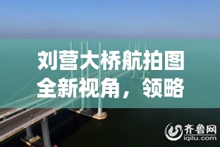 刘营大桥航拍图全新视角，领略桥梁之美的震撼瞬间