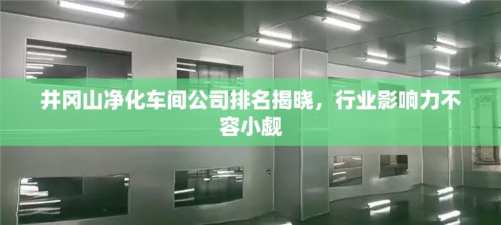 井冈山净化车间公司排名揭晓，行业影响力不容小觑