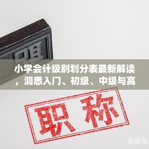 小学会计级别划分表最新解读，洞悉入门、初级、中级与高级会计职责与要求