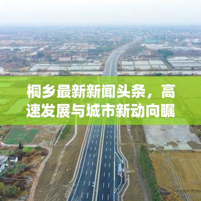 桐乡最新新闻头条，高速发展与城市新动向瞩目关注