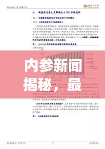 内参新闻揭秘，最新动态与深度洞察报道来袭！