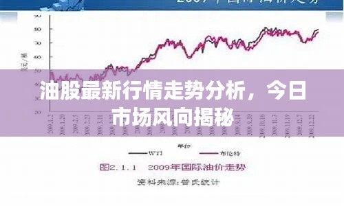 油股最新行情走势分析，今日市场风向揭秘