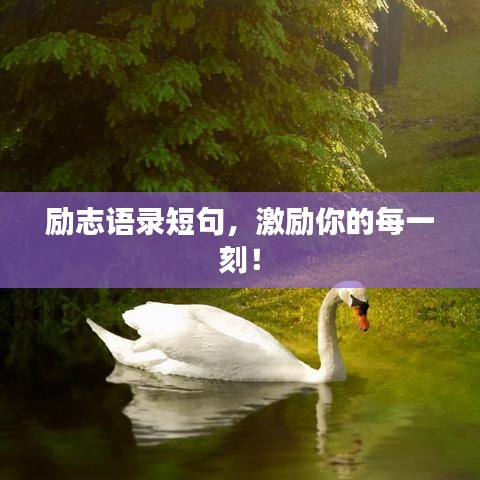 励志语录短句，激励你的每一刻！