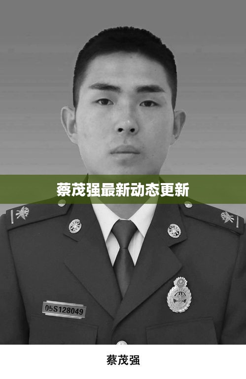 蔡茂强最新动态更新