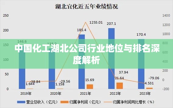 中国化工湖北公司行业地位与排名深度解析