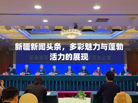 新疆新闻头条，多彩魅力与蓬勃活力的展现