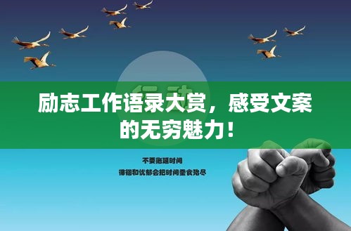 励志工作语录大赏，感受文案的无穷魅力！