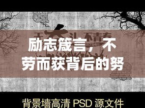 励志箴言，不劳而获背后的努力与梦想，独特融合成就辉煌之路