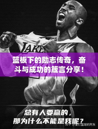 虚张声势 第2页
