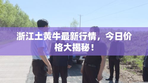 浙江土黄牛最新行情，今日价格大揭秘！