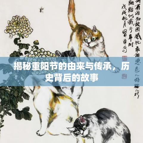 揭秘重阳节的由来与传承，历史背后的故事