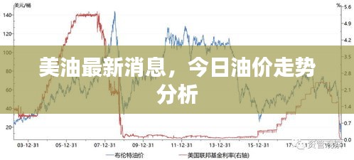 鸟骇鼠窜 第2页