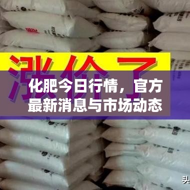 化肥今日行情，官方最新消息与市场动态及未来趋势深度解析