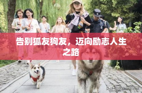 告别狐友狗友，迈向励志人生之路