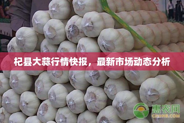 杞县大蒜行情快报，最新市场动态分析