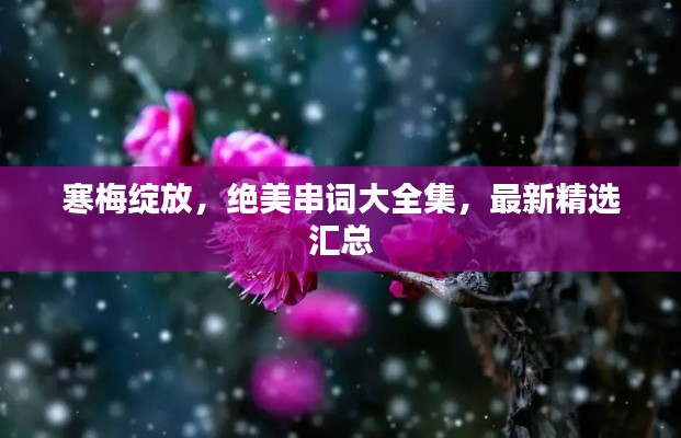 寒梅绽放，绝美串词大全集，最新精选汇总
