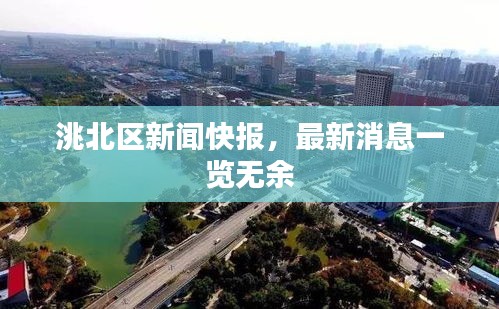 洮北区新闻快报，最新消息一览无余