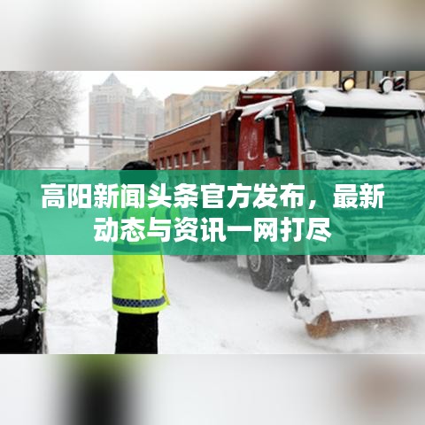 高阳新闻头条官方发布，最新动态与资讯一网打尽