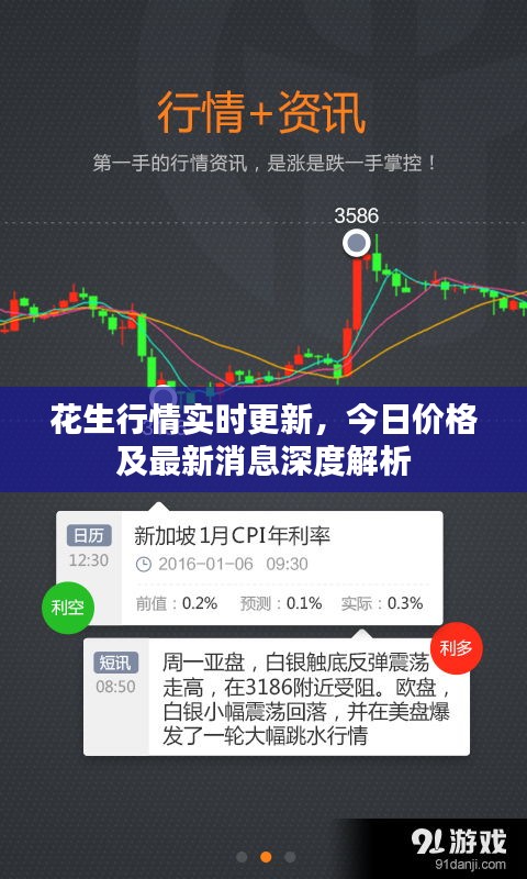 花生行情实时更新，今日价格及最新消息深度解析