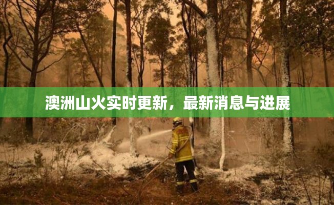 澳洲山火实时更新，最新消息与进展