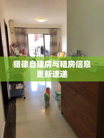 猎德自建房与租房信息更新速递