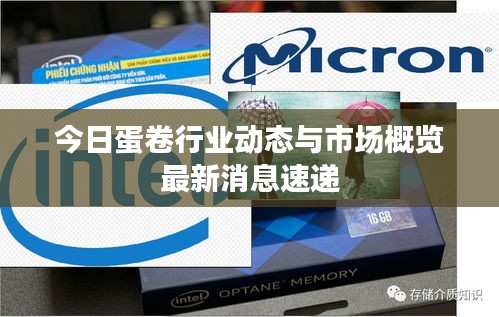 今日蛋卷行业动态与市场概览最新消息速递