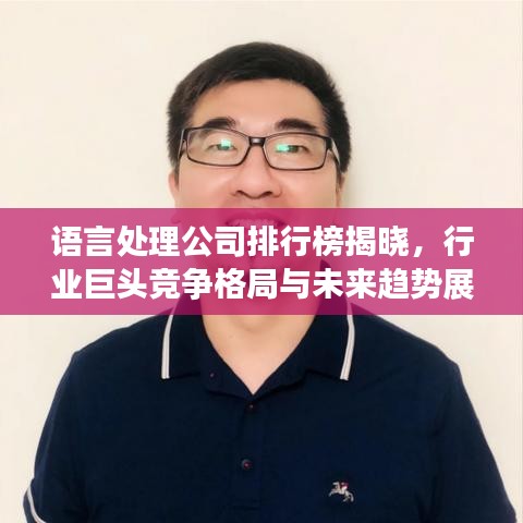 语言处理公司排行榜揭晓，行业巨头竞争格局与未来趋势展望