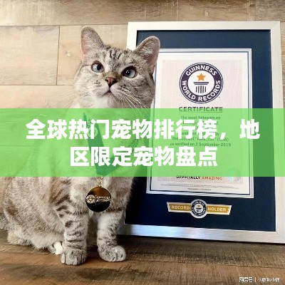 全球热门宠物排行榜，地区限定宠物盘点