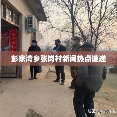 彭家湾乡张岗村新闻热点速递