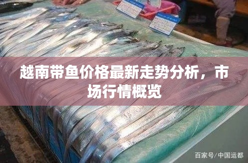 越南带鱼价格最新走势分析，市场行情概览