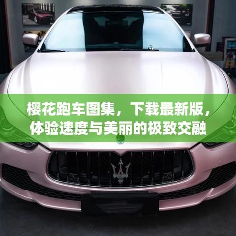 樱花跑车图集，下载最新版，体验速度与美丽的极致交融