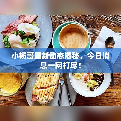 小杨哥最新动态揭秘，今日消息一网打尽！