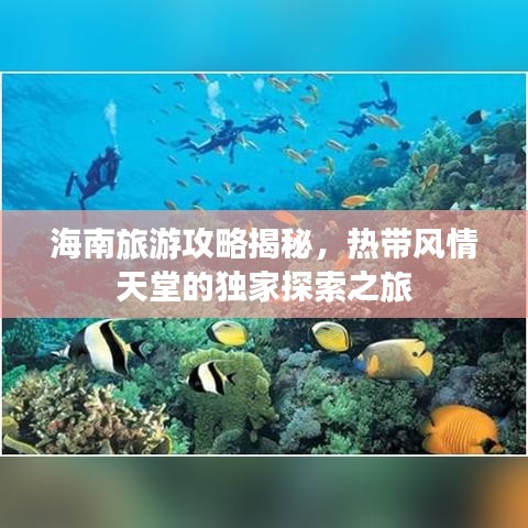 海南旅游攻略揭秘，热带风情天堂的独家探索之旅