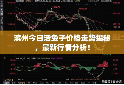 继晷焚膏 第2页