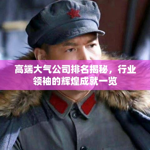 高端大气公司排名揭秘，行业领袖的辉煌成就一览
