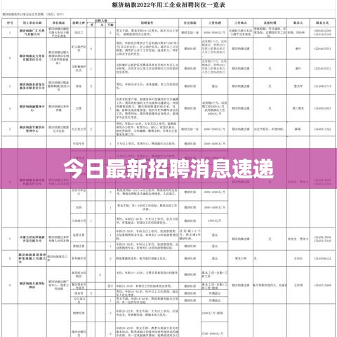 今日最新招聘消息速递
