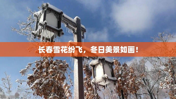 长春雪花纷飞，冬日美景如画！