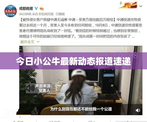 今日小公牛最新动态报道速递