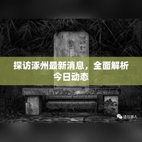 探访涿州最新消息，全面解析今日动态