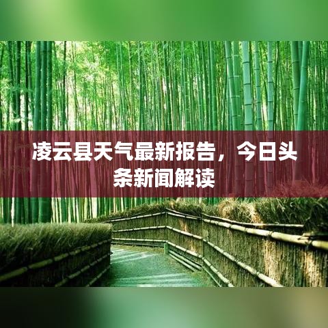 凌云县天气最新报告，今日头条新闻解读