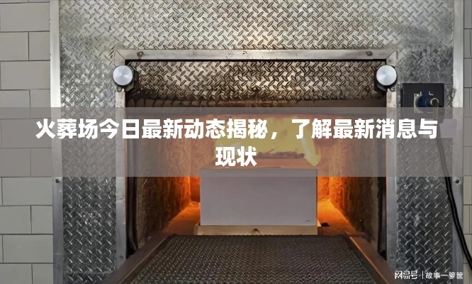 火葬场今日最新动态揭秘，了解最新消息与现状
