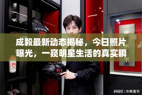 成毅最新动态揭秘，今日照片曝光，一窥明星生活的真实瞬间
