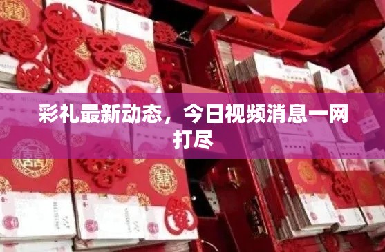 彩礼最新动态，今日视频消息一网打尽