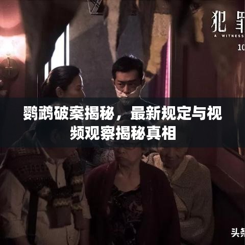 克勤克俭 第2页