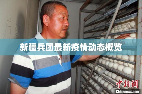 新疆兵团最新疫情动态概览