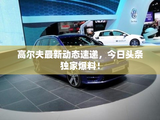 高尔夫最新动态速递，今日头条独家爆料！
