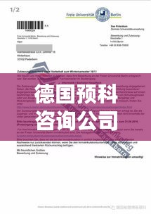 德国预科咨询公司排名揭秘，探讨影响力与选择指南