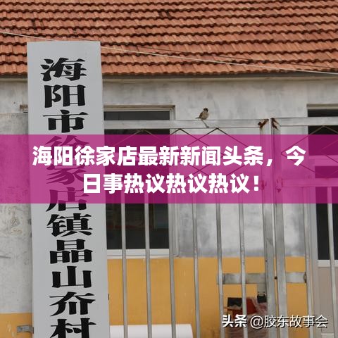 海阳徐家店最新新闻头条，今日事热议热议热议！